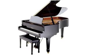 C7 (Disklavier) Mk IV pro 7'6" digital/acoustic grand piano (midi piano)