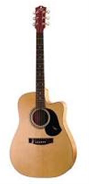 CW80 Acoustic/Electric