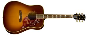 Hummingbird Acoustic/Electric