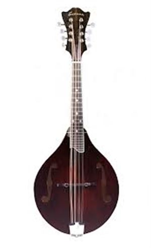 MD 505 Mandolin