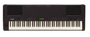 P250 Electric Piano
