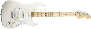 Strat Standard Electric (USA)
