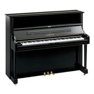 U1 upright SG PE (silent) digital/acoustic piano (midi piano)